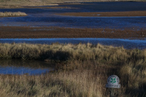Cley Marshes Salthouse Broad